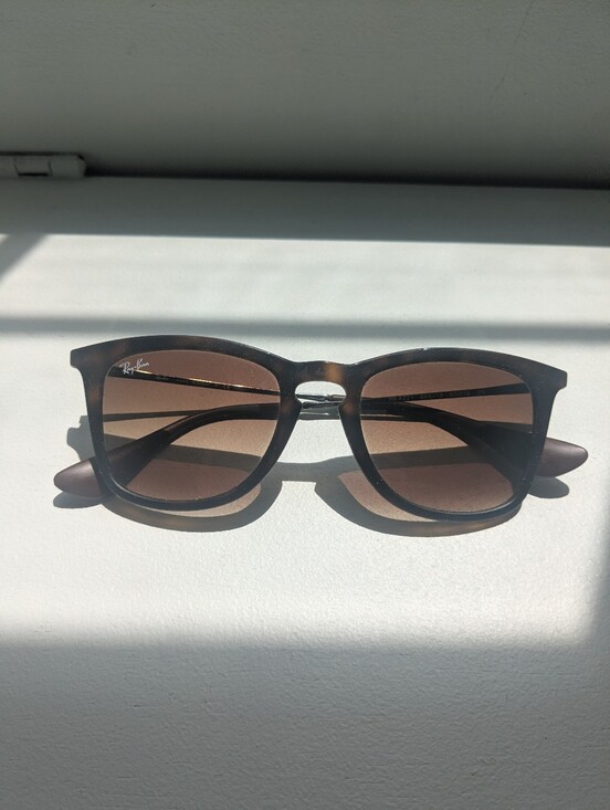 Ray-Ban Accessories - Ray-Ban RB4221 Sunglasses